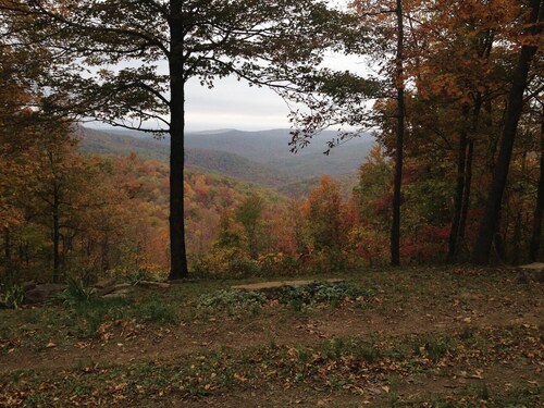 Epic Ozark View Cabin – Fast WiFi, Trails, Firepit