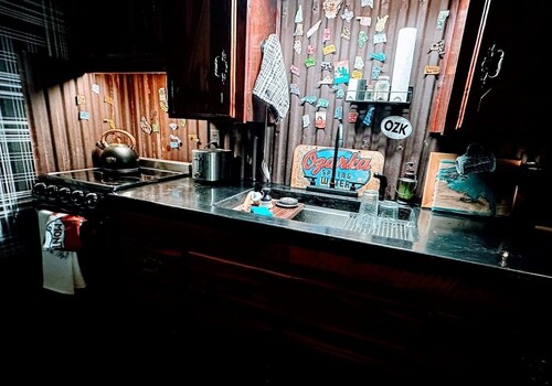 Epic Ozark View Cabin – Fast WiFi, Trails, Firepit