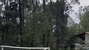 Cancha deportiva