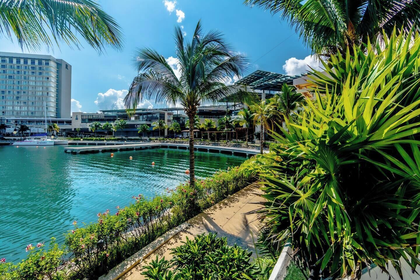 A waterfront hotel with a pool, palm trees, and a view of the city skyline.