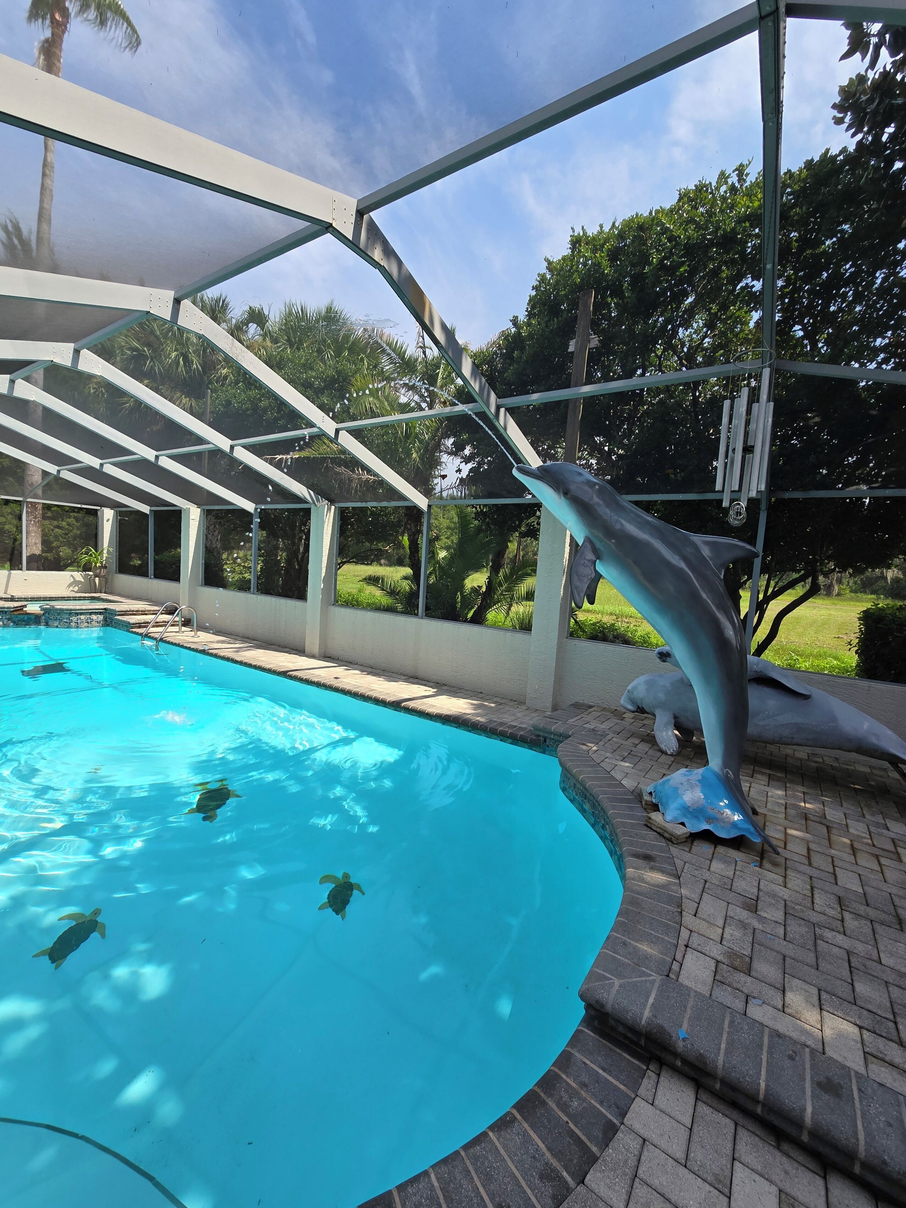 Ein Hallenbad mit einer Delfin-Skulptur und einer Schildkröte.