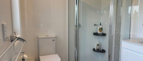 A modern bathroom with a glass-enclosed shower, a toilet, and a sink.