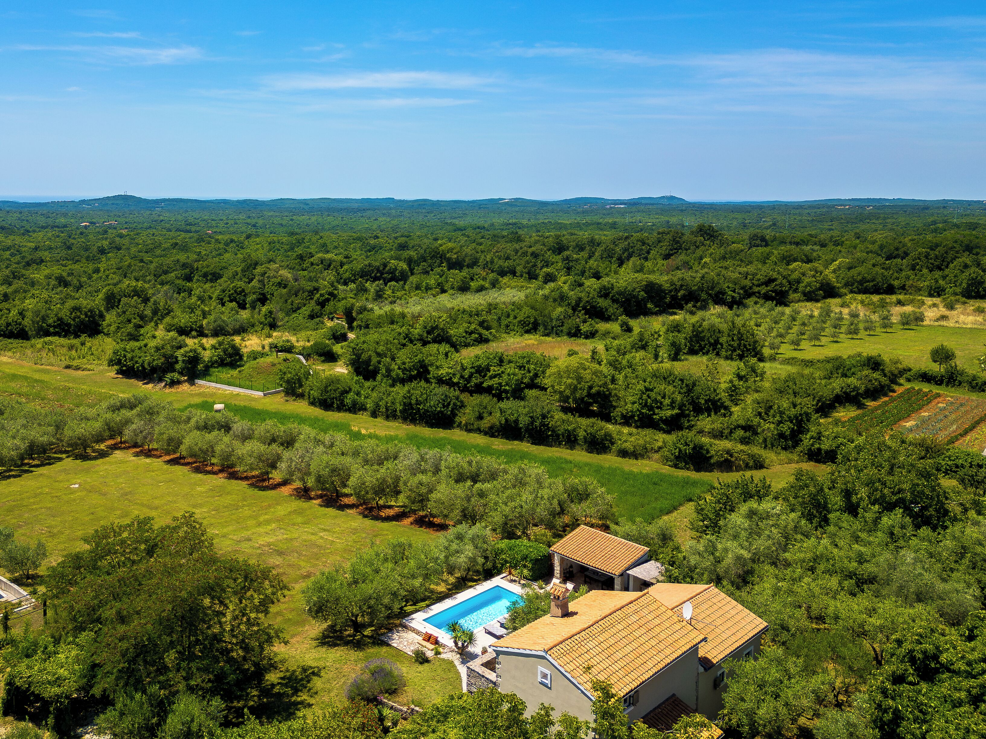 A residential area with a swimming pool, a house with a tiled roof, and surrounding greenery.