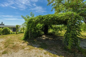 A garden with a pergola covered in greenery, a gravel path, and a building in the background. - Villa Vinci (Istria - Svetvinčenat) (Svetvinčenat)