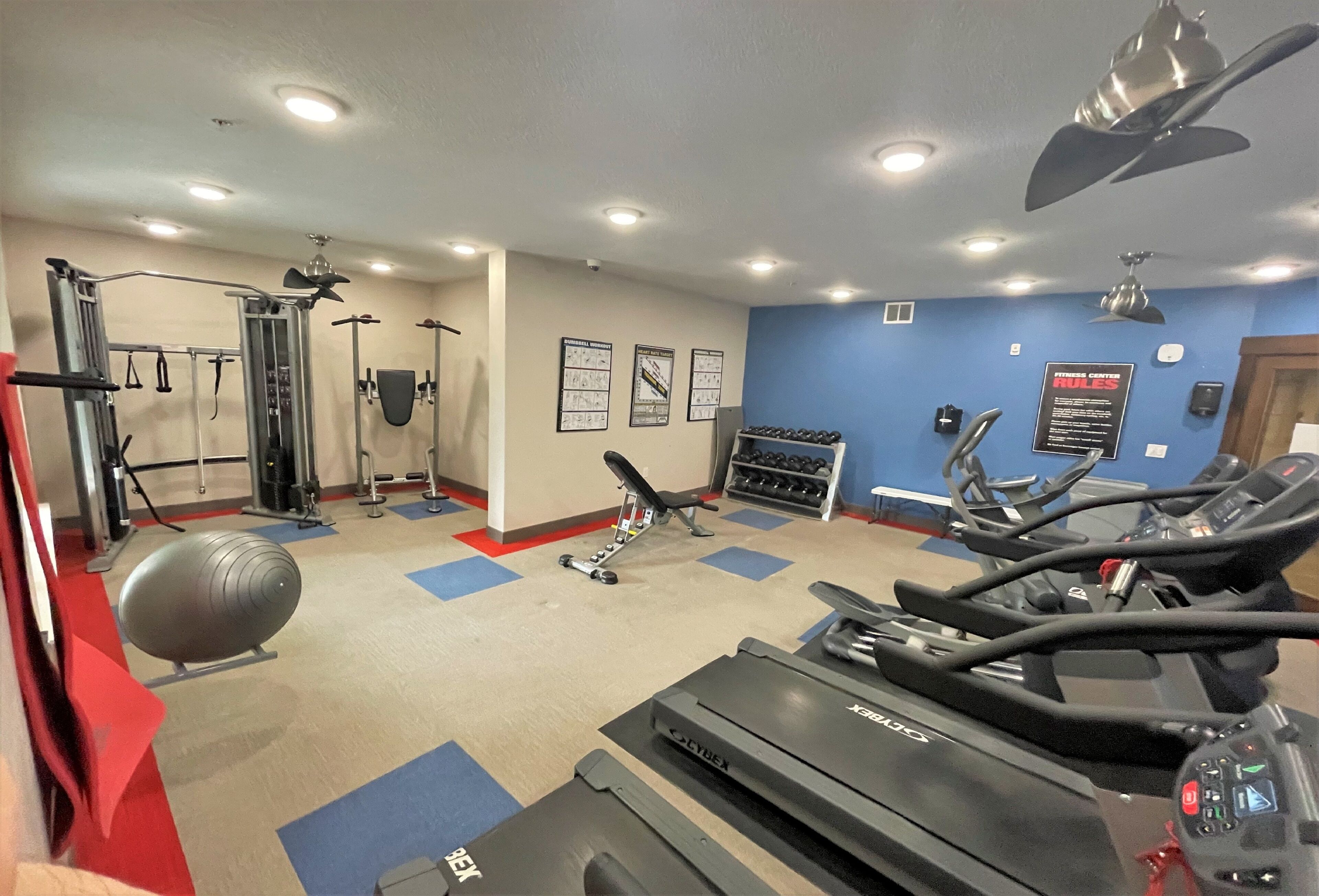 Una palestra con tapis roulant, una cyclette e un macchinario per pesi.