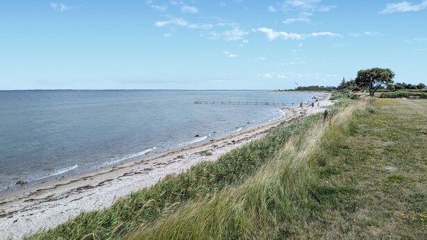 Oklassificerad bild, 1 av 15, knapp
