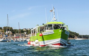 Ein grünes und weißes Boot namens 'LE PASSEUR DU TRIEUX' auf dem Wasser, mit einem Yachthafen und Gebäuden im Hintergrund.