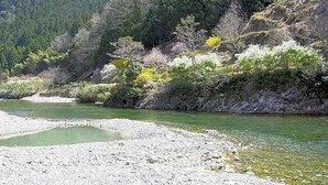 Un río de aguas cristalinas, rodeado de terreno rocoso y un bosque denso.