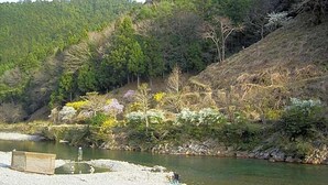 Paisaje natural con un río, una estructura de madera y una ladera boscosa.