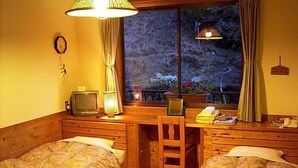 Una habitación acogedora con dos camas, un escritorio, un televisor y una ventana con cortinas.