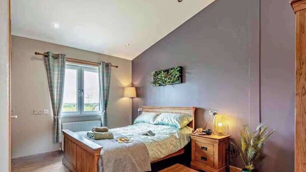 A bedroom with a wooden bed, bedside tables, a window with curtains, a wall-mounted lamp, and a potted plant.