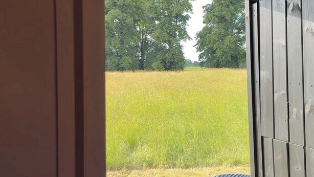 Una puerta de madera con un ventanal que muestra un campo de hierba y árboles al fondo.