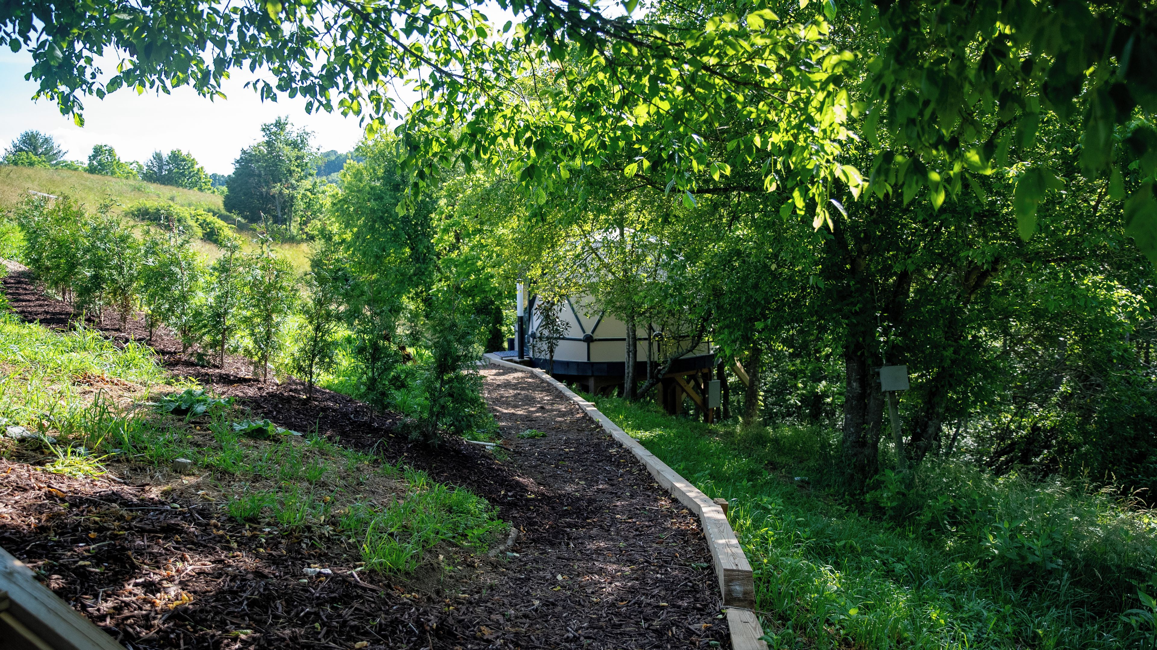 Un sentier de jardin bordé d’arbres et d’arbustes, qui mène à un bâtiment doté d’un toit en pente.