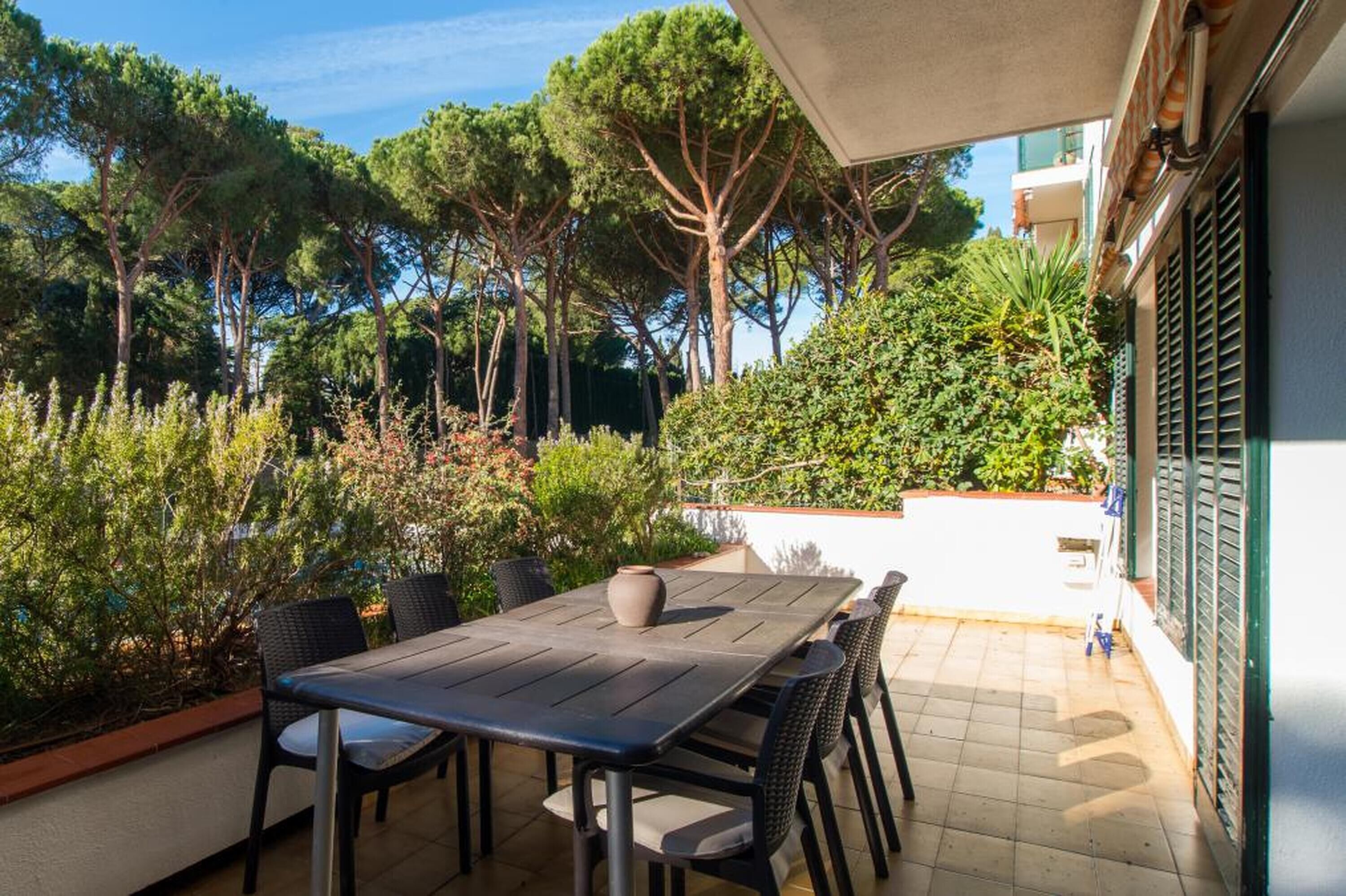 Un patio al aire libre con mesa y sillas, rodeado de vegetación y árboles.