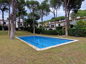 Ein rechteckiger Pool mit glasklarer, blauer Wasseroberfläche, umgeben von einer gepflegten Rasenfläche und Bäumen.