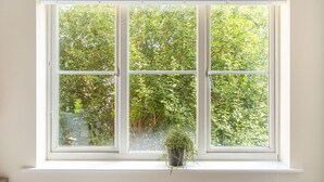 Una ventana con vistas a follaje verde.