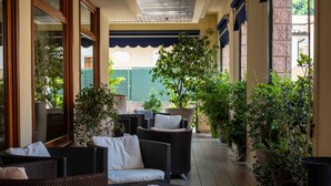 Quang cảnh nhìn từ nơi lưu trú