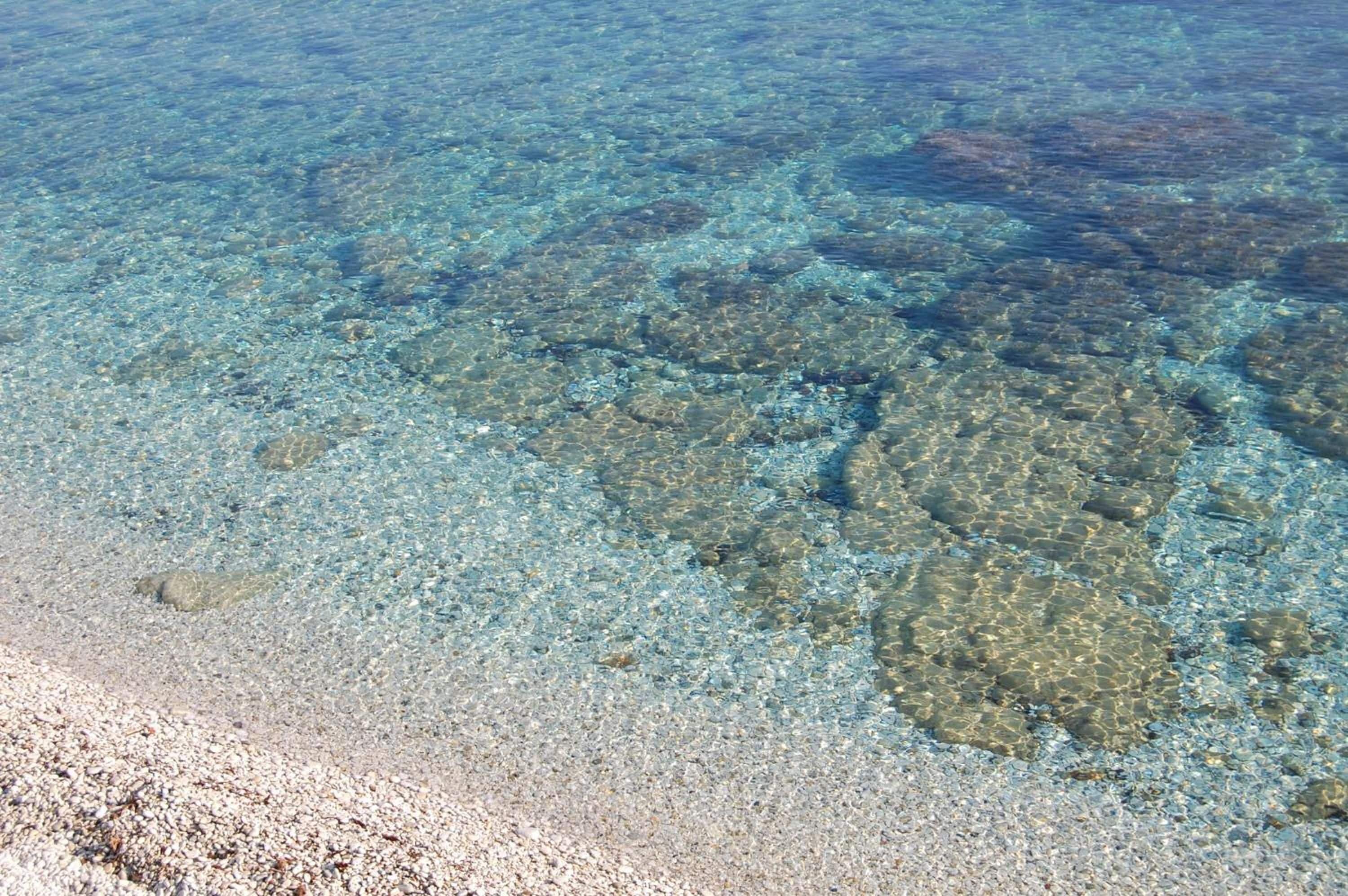 A clear view of a beach with shallow water revealing a rocky seabed.