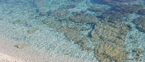 A clear view of a beach with shallow water revealing a rocky seabed.