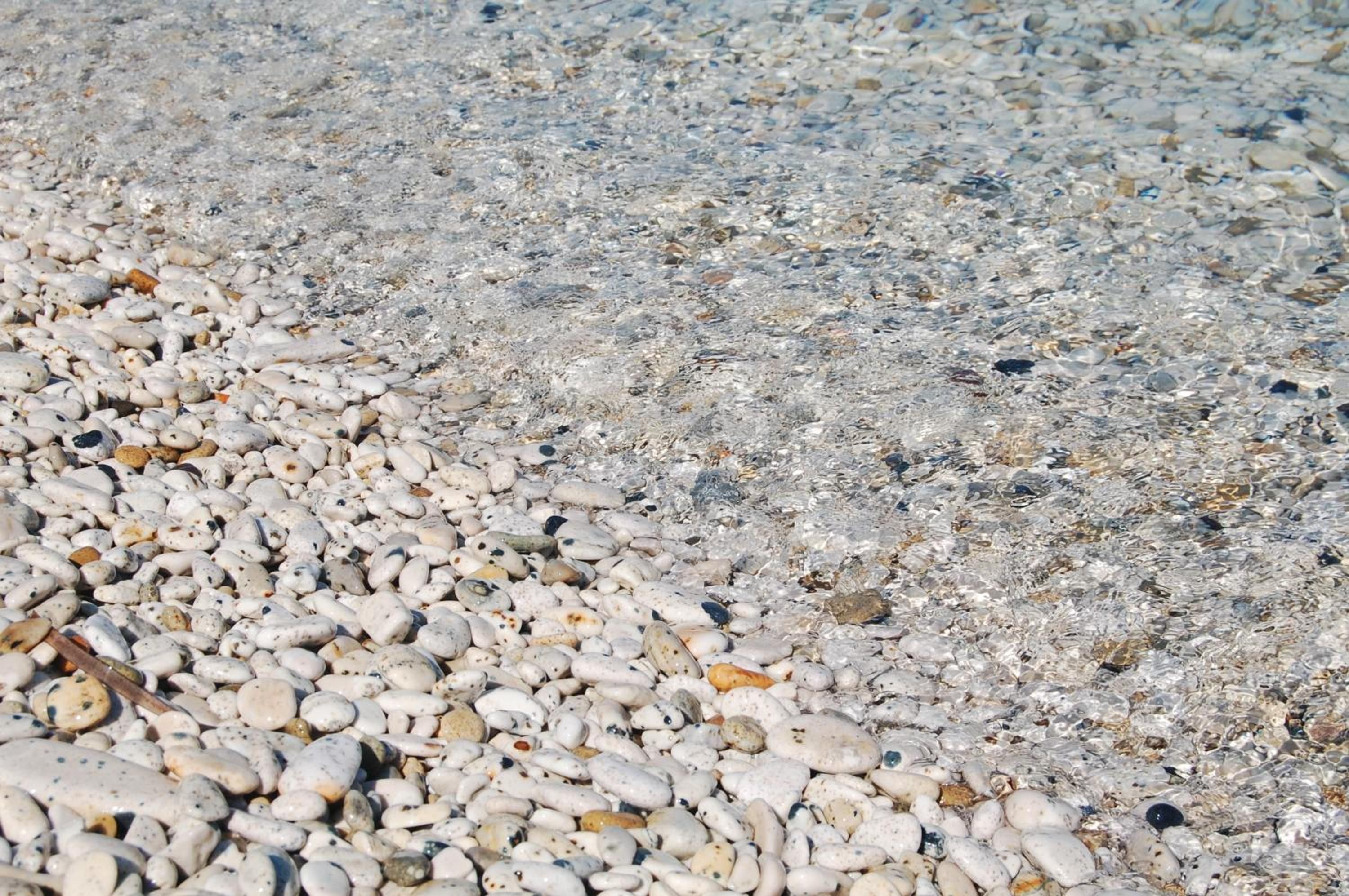 A close-up of a pebbled beach surface with clear water.