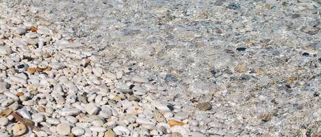 A close-up of a pebbled beach surface with clear water.
