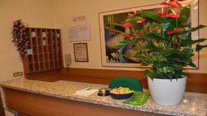 Zona de recepción de un hotel con mostrador, planta en maceta, obra de arte enmarcada y un tablón de anuncios.