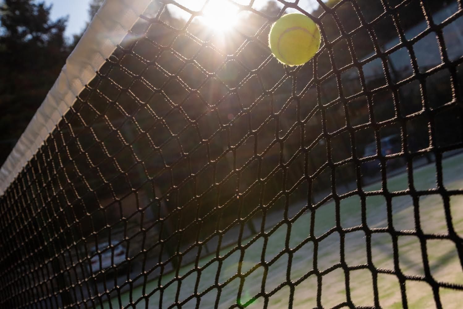 A tennis court with a net and a ball.