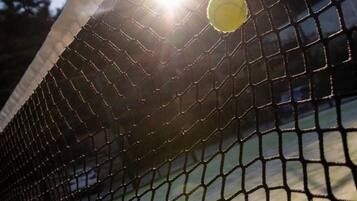 A tennis court with a net and a ball.