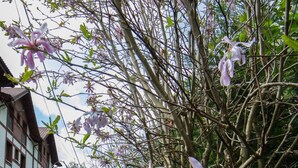 A pathway lined with flowering trees and a stone wall. - Adeko Hotel (Barakaldo)