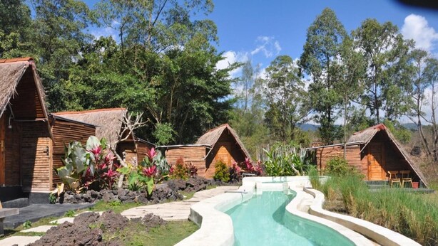 A pool area with wooden cabins, surrounded by tropical vegetation.