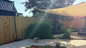 Ein Garten mit Holzzaun, Baum, Hund und schattigem Bereich mit Pflanzen.