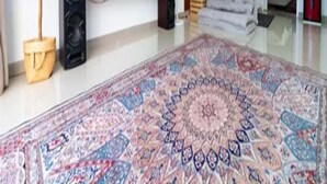 A modern living room with a flat-screen TV, a large patterned rug, a sofa, and a potted plant. - Cozzy Villa Snyaman (batu)