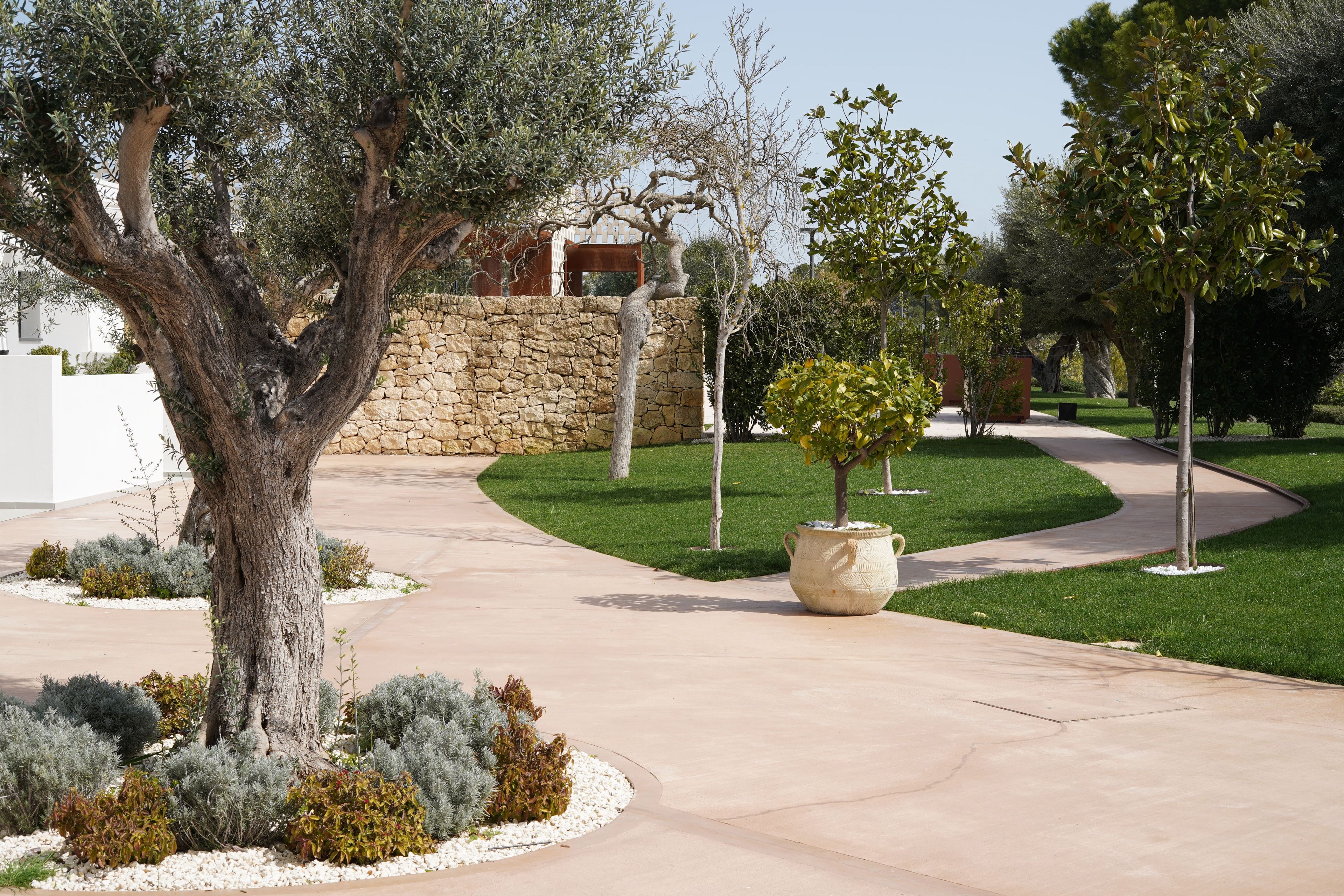 A landscaped garden with a curved pathway, a large tree, and a stone wall.
