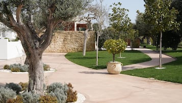A landscaped garden with a curved pathway, a large tree, and a stone wall.