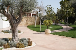 A landscaped garden with a curved pathway, a large tree, and a stone wall. - Tenuta San Marco (Noto)