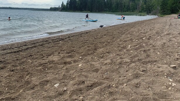A beach with a sandy shore, a calm lake, and a forest in the background. - Veregin Getaway- Snowmobile trails, Fishing, Hunting, Golf, Lakes, Relaxing (Veregin)