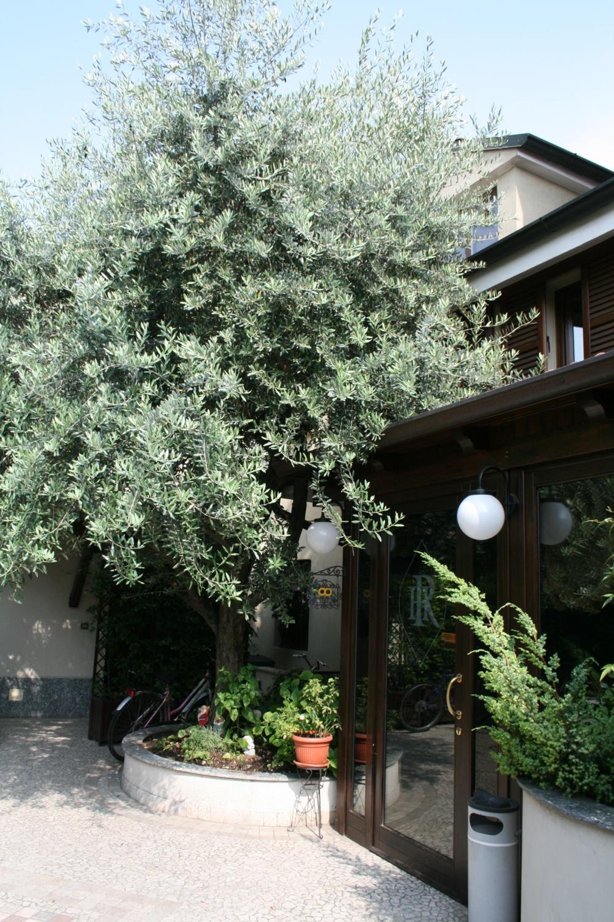 Un bâtiment doté d’une entrée abritée, d’une plante en pot et d’un vélo garé à l’extérieur.