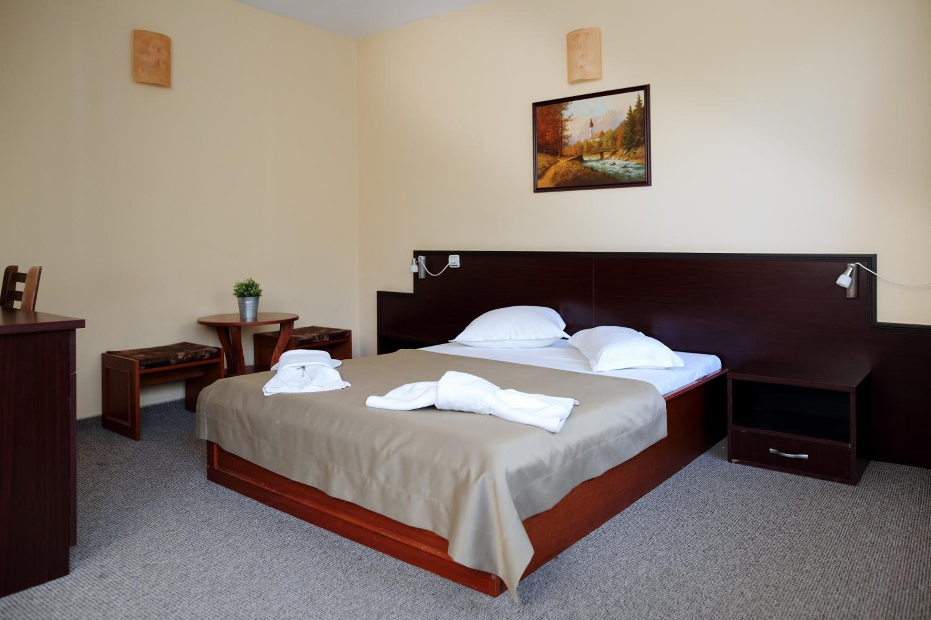 Een hotelkamer met een groot bed, nachtkastje, bureau, stoel, een kleine potplant en een schilderij aan de muur.