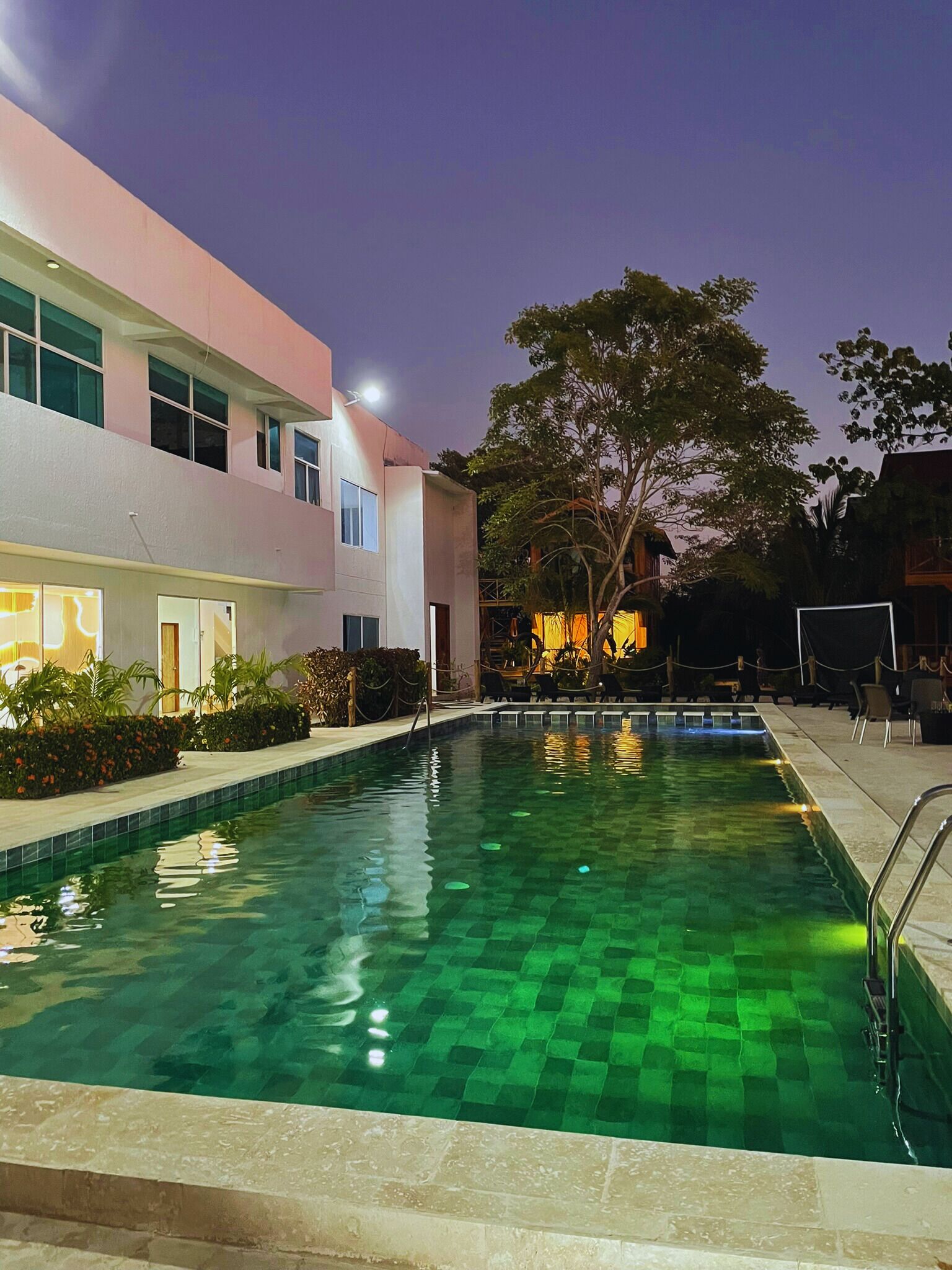 A swimming pool with a tiled deck, surrounded by a building with large windows and a tree.