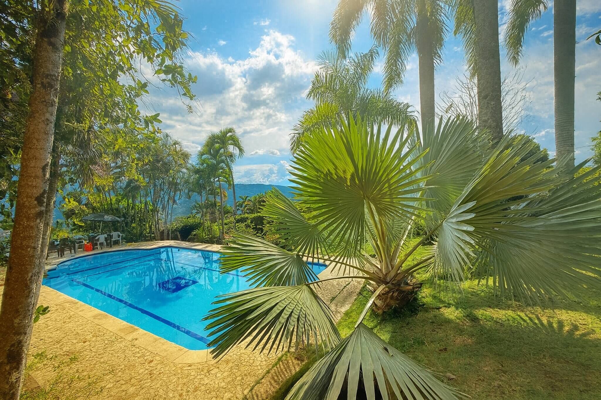 Una piscina circondata da palme e vegetazione.