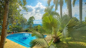 A swimming pool surrounded by palm trees and greenery.