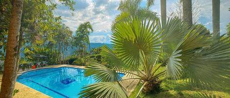 Une piscine entourée de palmiers et de verdure.