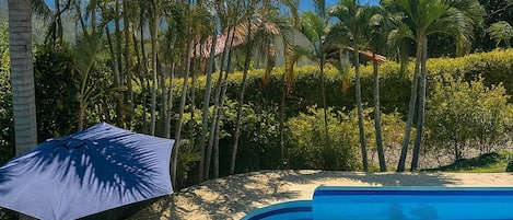 A swimming pool with a stone-tiled deck, surrounded by palm trees and a clear blue sky.
