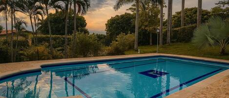 A rectangular swimming pool with clear blue water, surrounded by a stone deck and palm trees.