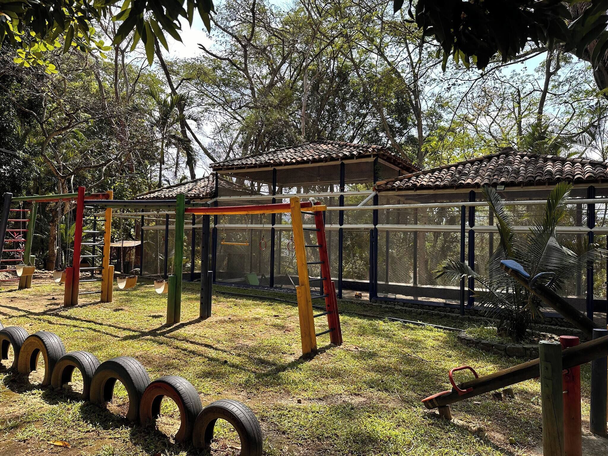 A playground with swings, a climbing structure, and tire swings.
