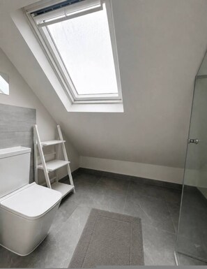 Ein modernes Badezimmer mit Oberlicht, einer Dusche und einem WC.