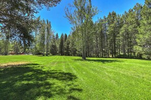 A well-maintained grassy area with tall trees and a clear blue sky. - Fir Sure Chalet - Dog friendly modern cabin in SLT (South Lake Tahoe)