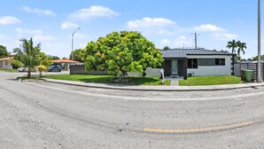Una calle residencial con una casa moderna, un buzón y una palmera.