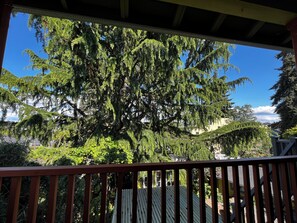Blick von einer überdachten Veranda mit Metallgeländer auf einen großen Baum und eine Wohngegend.