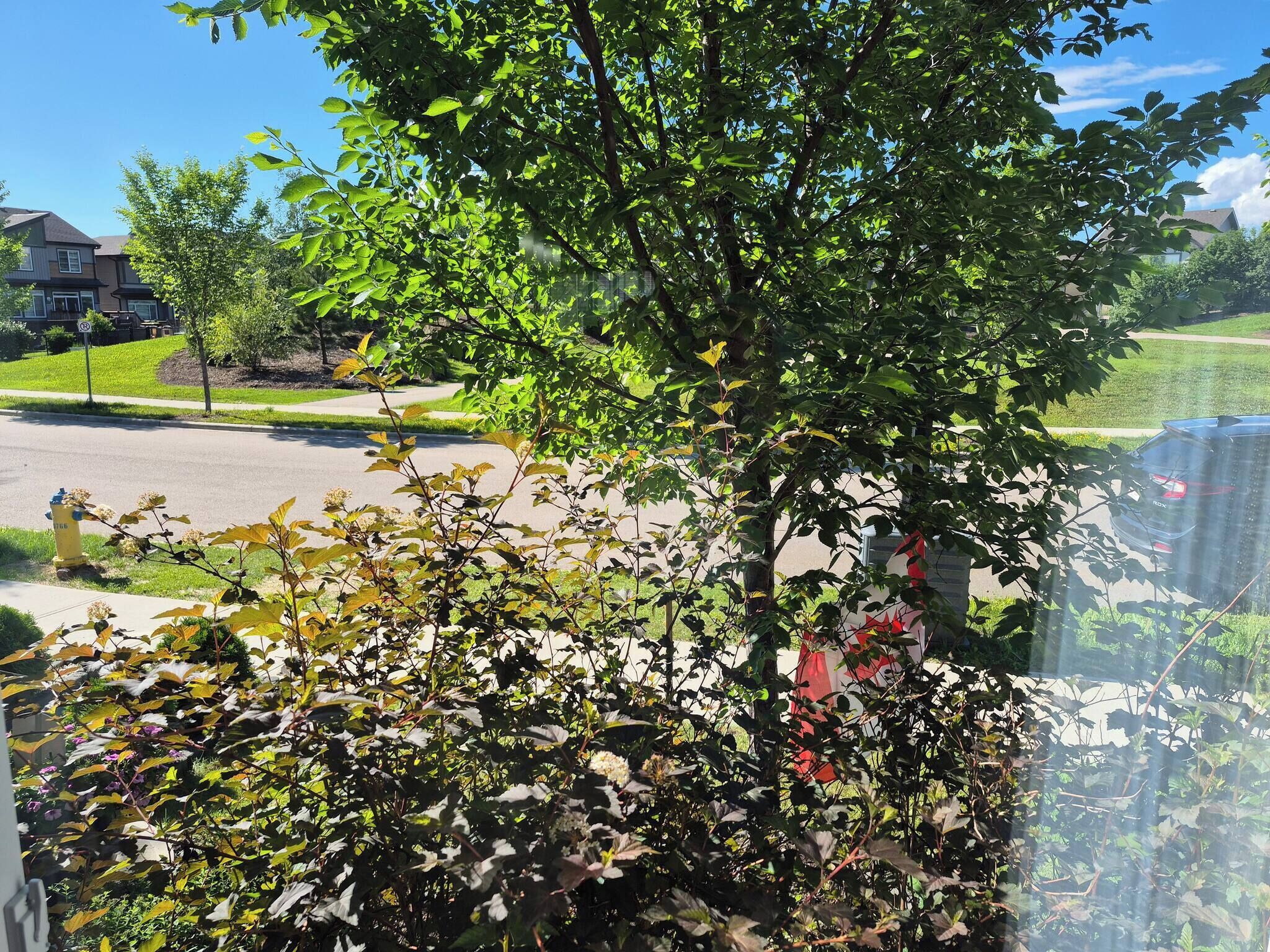 House, 4 Bedrooms, Fireplace, Garden View | Property grounds